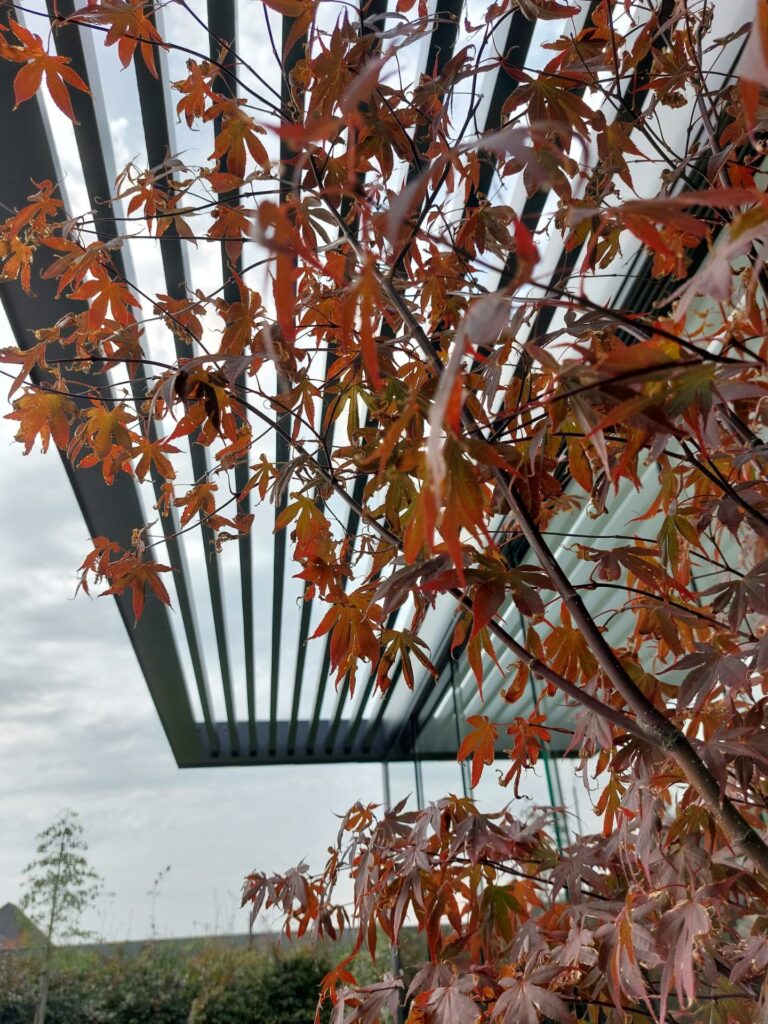 Poolhouse Met Zwevende Luifel Cubiq Design7